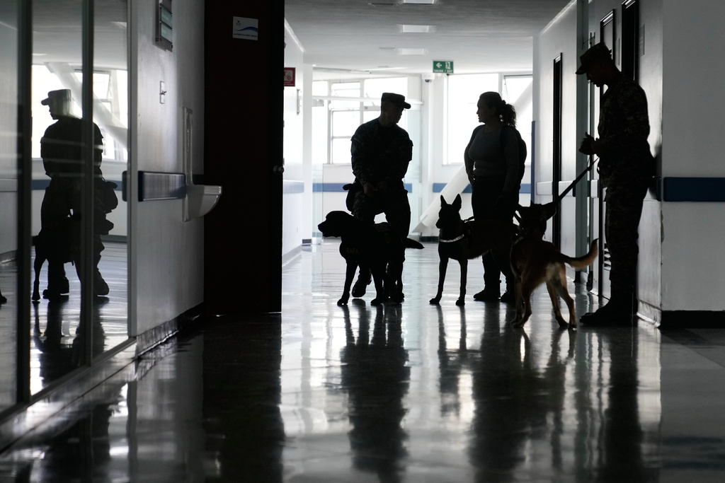 Emotional support dogs and their guides walk through the corridors of a military hospital before visiting wounded soldiers in Bogota, Colombia, Thursday, Oct. 2, 2025. (AP Photo/Fernando Vergara)