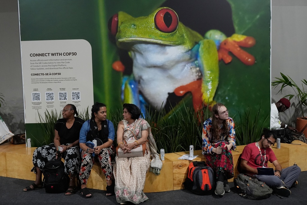 Attendees rest near an image of a frog as negotiations continue at the COP30 U.N. Climate Summit, Friday, Nov. 21, 2025, in Belem, Brazil. (AP Photo/Fernando Llano)