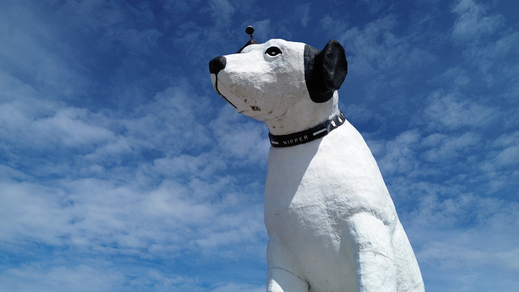 A giant statue of Nipper the dog sits atop a building in the warehouse district in Albany, N.Y., Tuesday, April 21, 2026. (AP Photo/Ted Shaffrey)