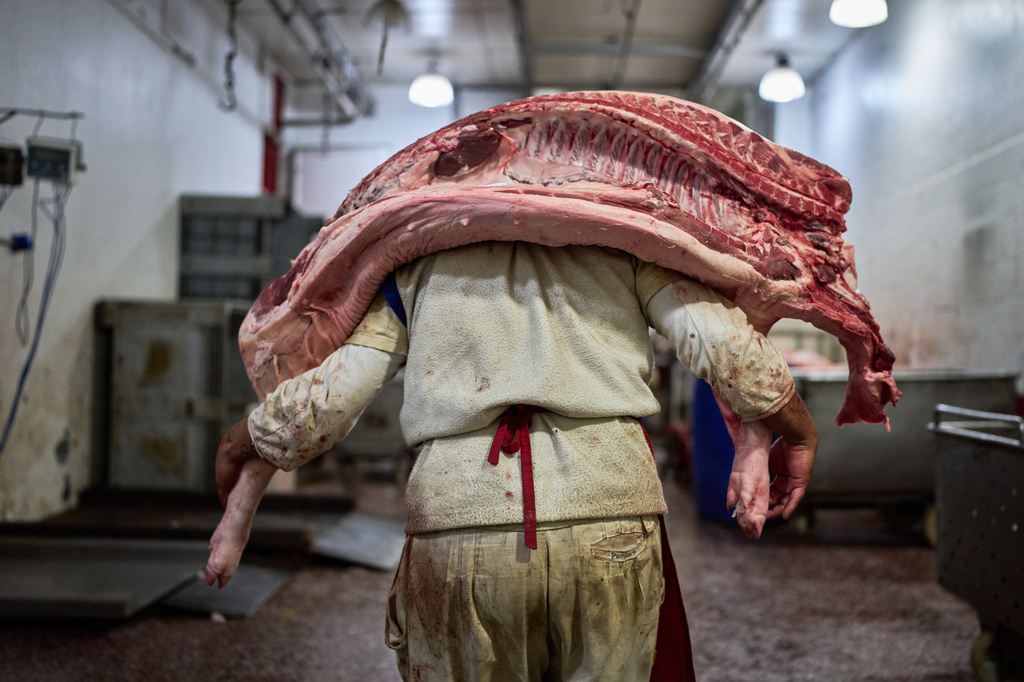 A worker carries pork inside a butcher shop at the Mataderos meat market in Buenos Aires, Argentina, Thursday, May 14, 2026. (AP Photo/Rodrigo Abd)