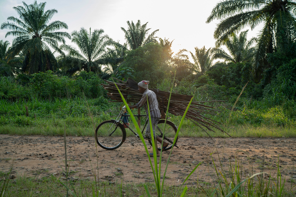 FILE - A man carries wood on his bicycle as he rides past a cemetery in Beni, Congo, Tuesday, July 16, 2019. (AP Photo/Jerome Delay, file)