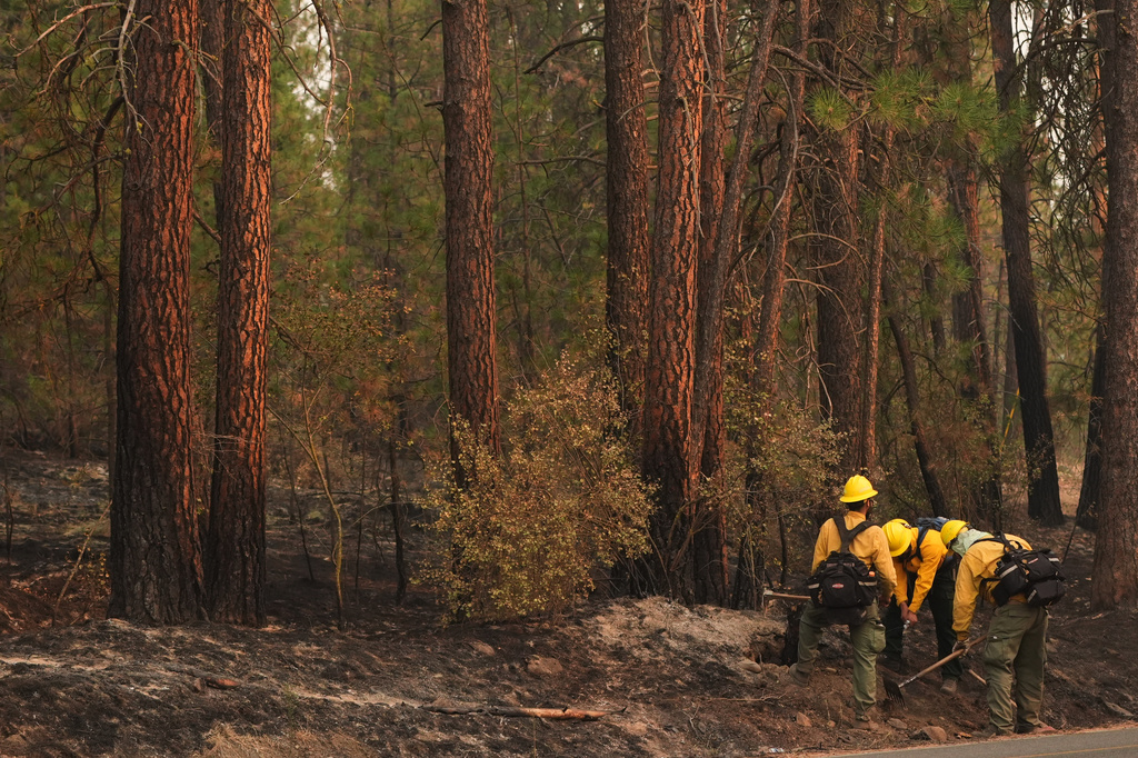 A wildland firefighting crew does mop-up work on wooded hills near the Spokane River after a wildfire hit the northern part of Spokane, Wash., Monday, Aug. 3, 2026. (AP Photo/Lindsey Wasson)