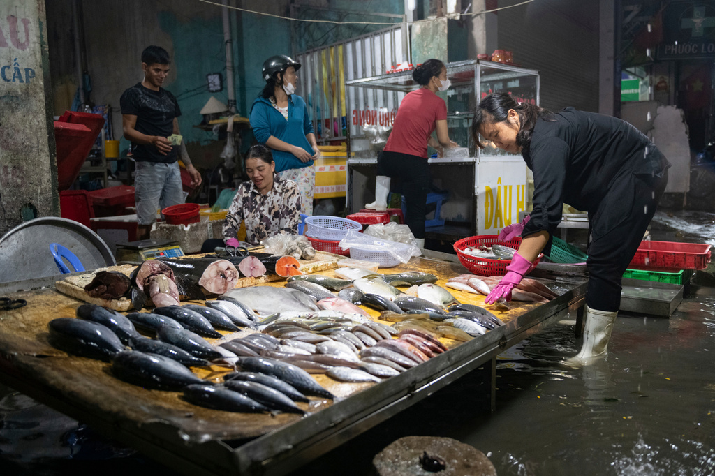 A vendor sells fish on a flooded sidewalk on Pham Huu Lau Street in Ho Chi Minh City, Vietnam, Wednesday, Sept. 30, 2026. (AP Photo/Thanh Hue)