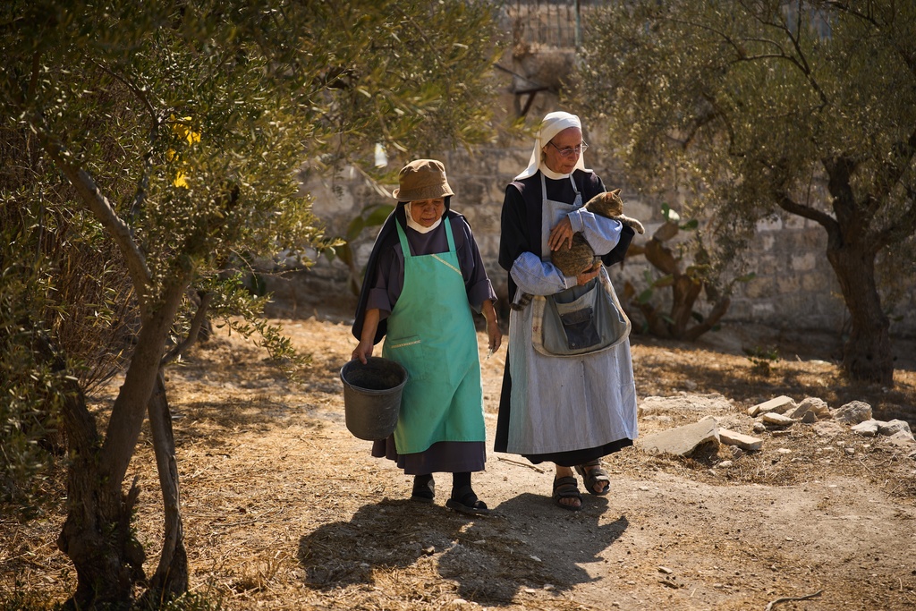 Sister Marie Benedicte, right, and Sister Colomba, two Catholic nuns, walk in their monastery's garden to harvest olives on the Mount of Olives, in Jerusalem, Friday, Oct. 17, 2025. (AP Photo/Oded Balilty)