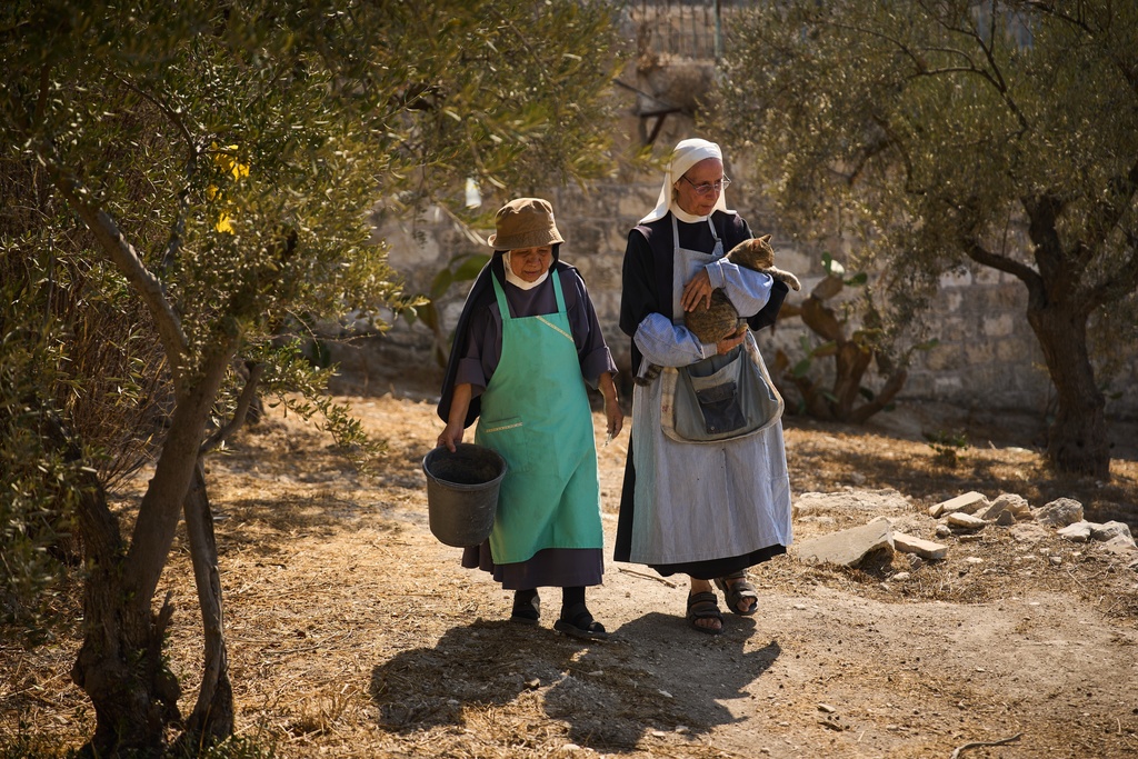 Sister Marie Benedicte, right, and Sister Colomba, two Catholic nuns, walk in their monastery's garden to harvest olives on the Mount of Olives, in Jerusalem, Friday, Oct. 17, 2025. (AP Photo/Oded Balilty)