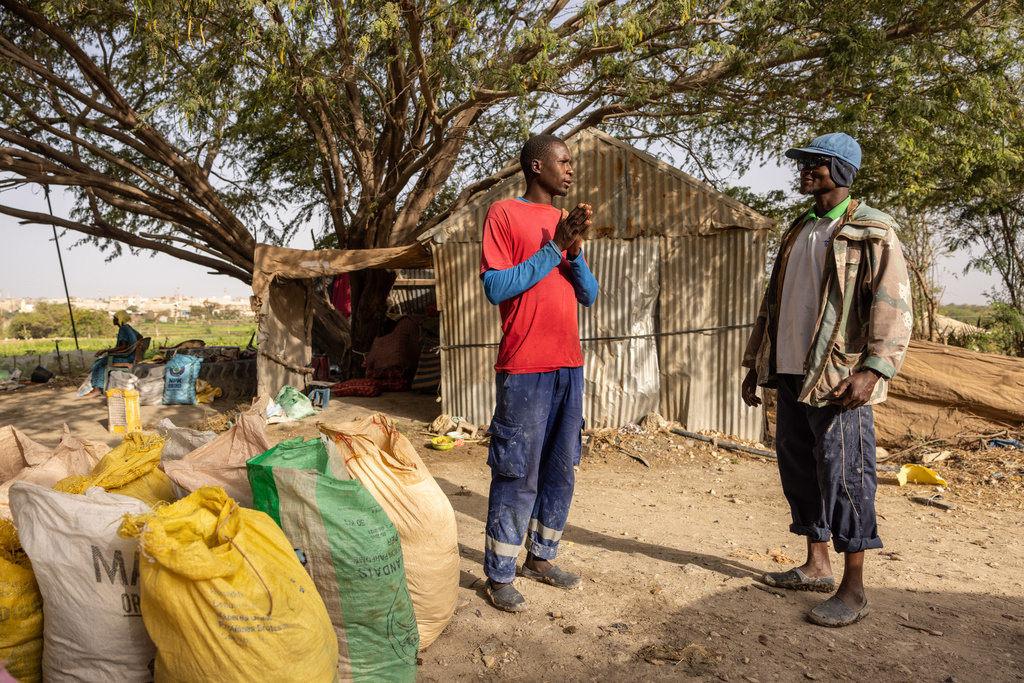 Abou Sow, left, and Farah Jammeh are both exploring local, organic alternatives to chemical fertilizers in Rufisque, Senegal, Tuesday, May 12, 2026. (AP Photo/Caitlin Kelly)
