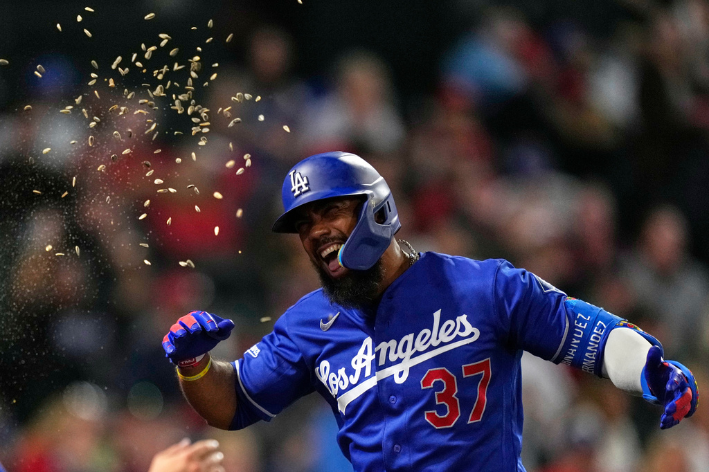 Los Angeles Dodgers' Teoscar Hernández has seeds thrown at him after hitting a two-run home run during the sixth inning of a baseball game against the Los Angeles Angels, Friday, May 15, 2026, in Anaheim, Calif. (AP Photo/Mark J. Terrill)