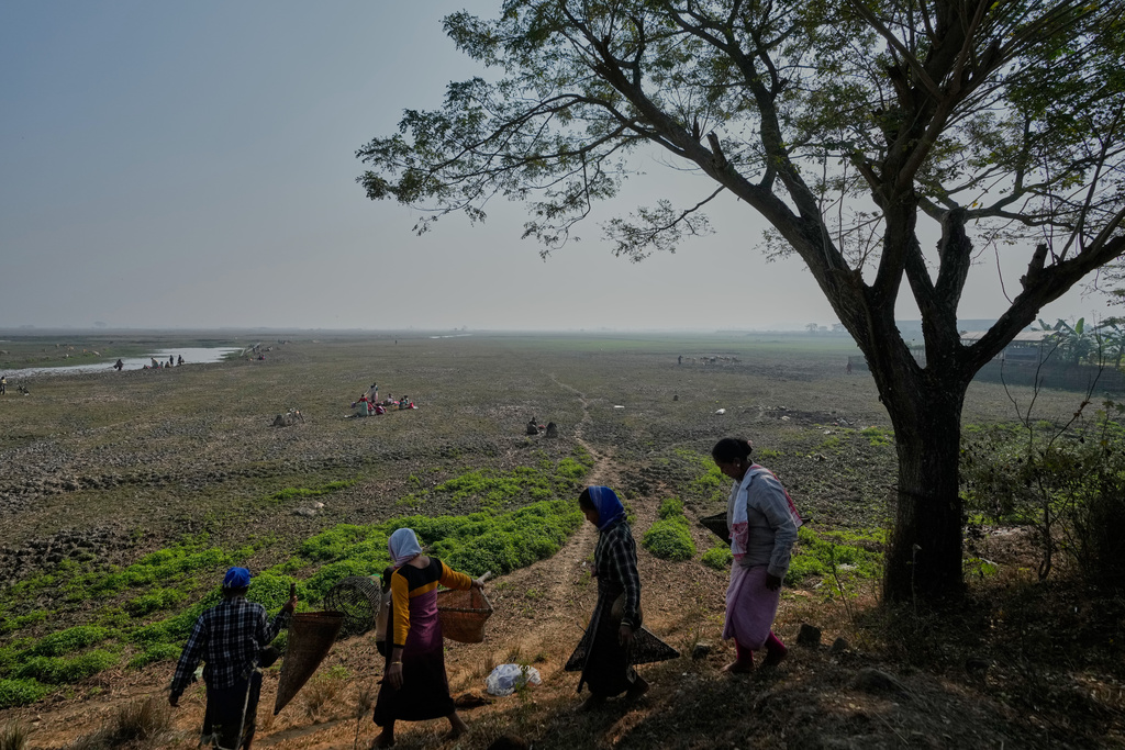 Villagers with fishing tools come to participate in a community fishing as part of Bhogali Bihu celebrations which mark the end of the harvest season at Jalikhora village east of Guwahati, India, Tuesday, Jan. 13, 2026. (AP Photo/Anupam Nath)