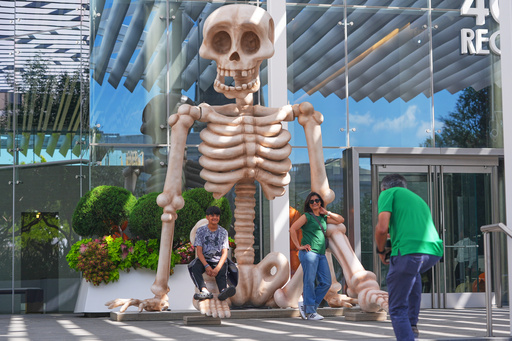FILE _ Sam Desai, right, takes a Halloween-themed photo of his wife, Sonia Desai, and son, Rishan Desai, in downtown Dallas, Sept. 27, 2025. (AP Photo/LM Otero, File) FILE _ Sam Desai, right, takes a Halloween-themed photo of his wife, Sonia Desai, and son, Rishan Desai, in downtown Dallas, Sept. 27, 2025. (AP Photo/LM Otero, File)