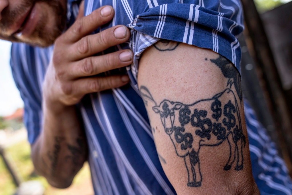 FILE - Miguel Vidal shows off his cow tattoo at his restaurant, Valentina's Tex Mex BBQ, in between smoking slabs of ribs and brisket in Austin, Texas, April 22, 2023. (AP Photo/David Goldman, File)