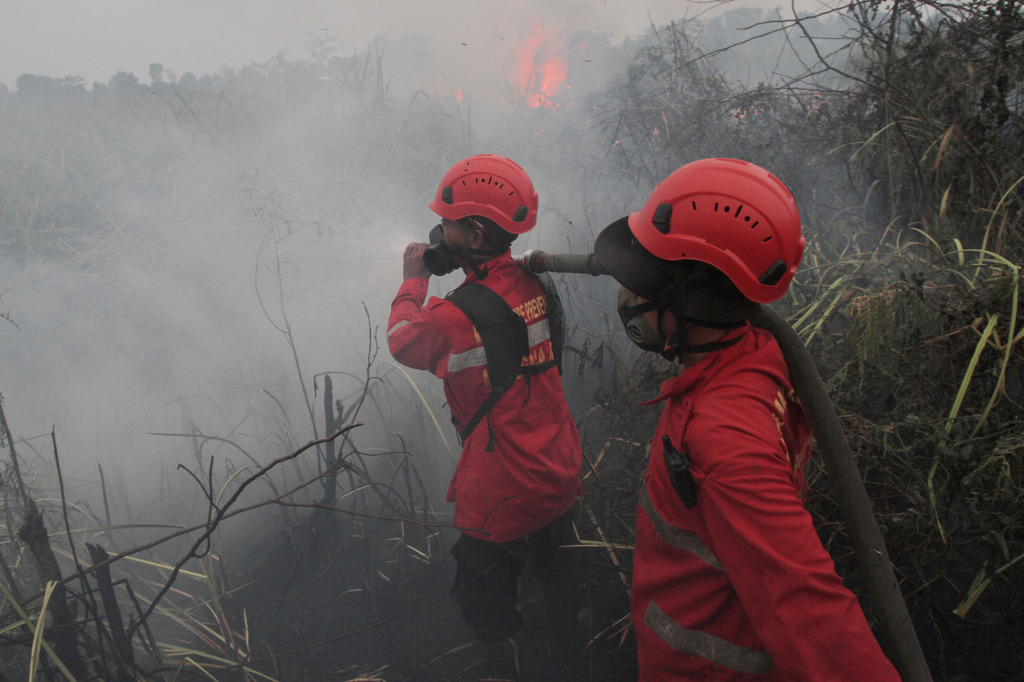 Firefighters attempt to extinguish a wildfire burning through a peatland field in Ogan Ilir, South Sumatra, Indonesia, Monday, Aug. 24, 2026. (AP Photo/Muhammad Hatta)