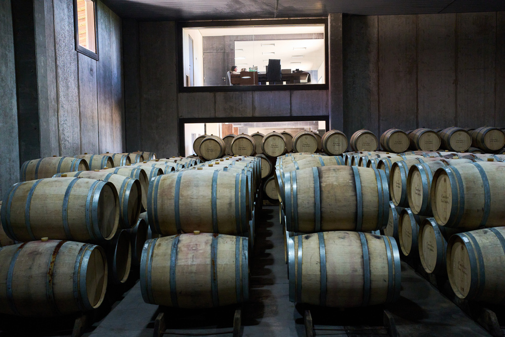An employee works in an office above the barrel room at Cuvelier Los Andes winery in Vista Flores, Mendoza province, Argentina, Monday, March 9, 2026. (AP Photo/Rodrigo Abd)