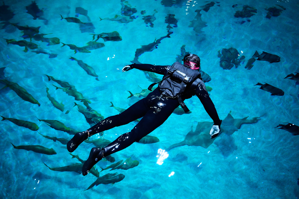 Lee Menzies, with the Wounded Warrior Project, swims at the Georgia Aquarium as a part of the Veterans Immersion Program, Wednesday, May 6, 2026, in Atlanta. (AP Photo/Brynn Anderson)