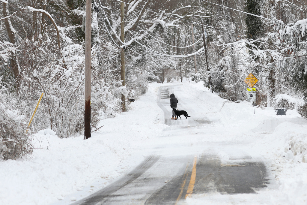 A man walks a dog down a road, Monday, Feb. 23, 2026, in St. James, N.Y. (AP Photo/Heather Khalifa)