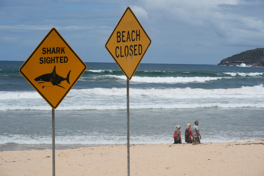 People walk on the sand at North Steyne Beach in Sydney, Tuesday, Jan. 20, 2026, after a series of shark attacks. (AP Photo/Rick Rycroft)