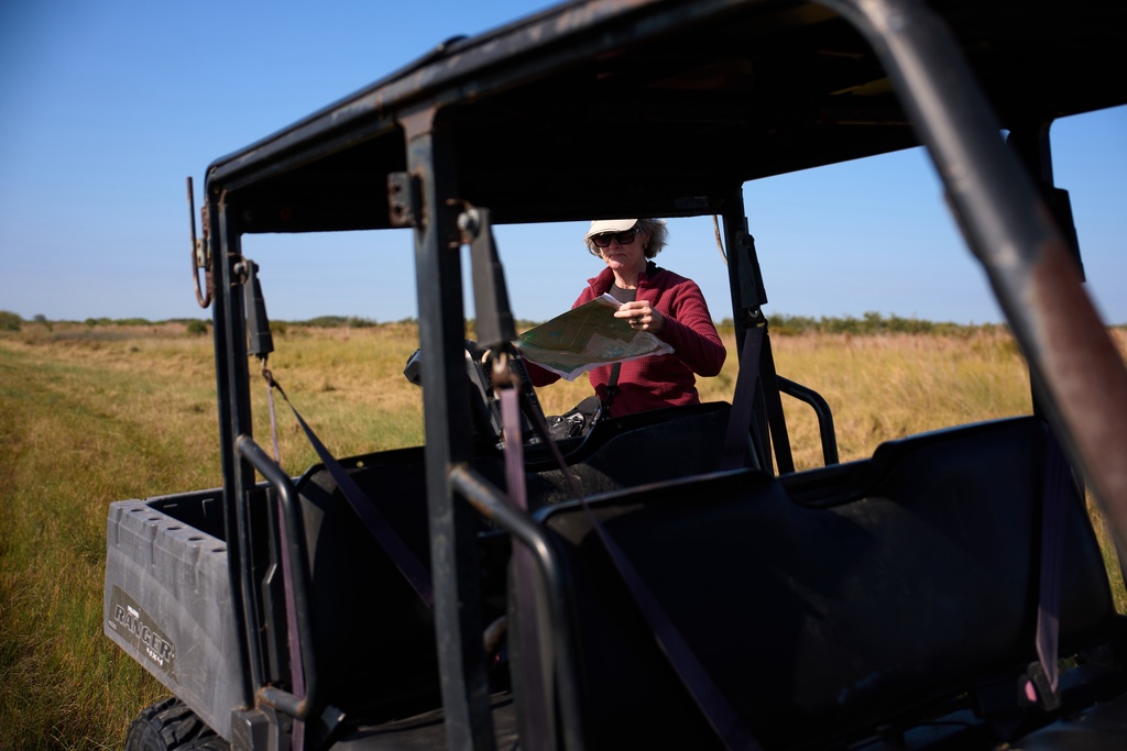 Julie Shackelford, Texas State Director at The Conservation Fund, unfurls a map on land acquired by The Conservation Fund to be used as a whooping crane sanctuary, Thursday, Dec. 11, 2025, near Seadrift, Texas. (AP Photo/John Locher)