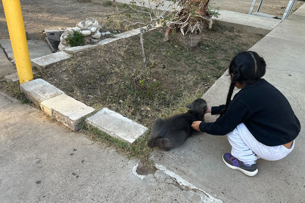 A young immigrant girl who just arrived at the Holding Institute, a shelter in Laredo, Texas on Feb. 12, 2026, pets a cat as her mother and other families receive a welcome and instructions on how to purchase tickets to get back to their homes in the U.S. (AP Photo/Valerie Gonzalez)