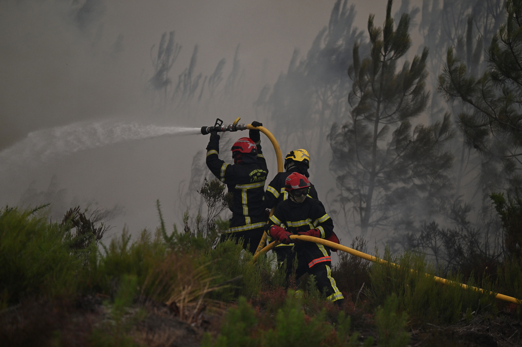 Firefighters spray water in a burning forest near Lacanau, southwestern France, Saturday, July 25, 2026. (AP Photo/Emma Da Silva)