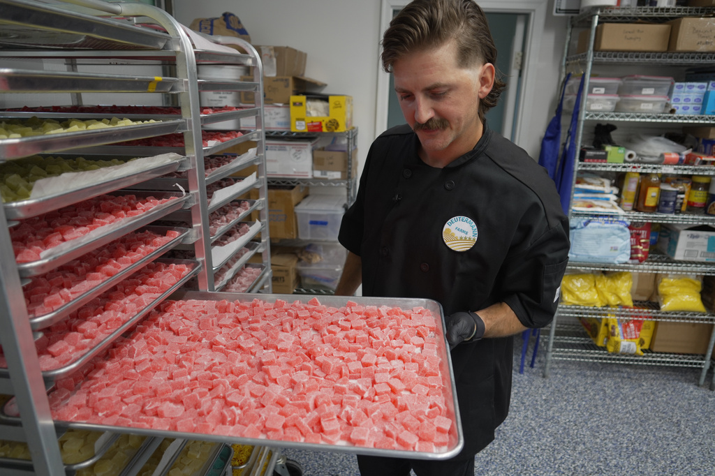 Nicholas Hohns shows off a tray of strawberry-lemon CBD gummies at his Deutermann Farms kitchen in Clayton, N.C., on Wednesday, Sept. 23, 2026. (AP Photo/Allen G. Breed)