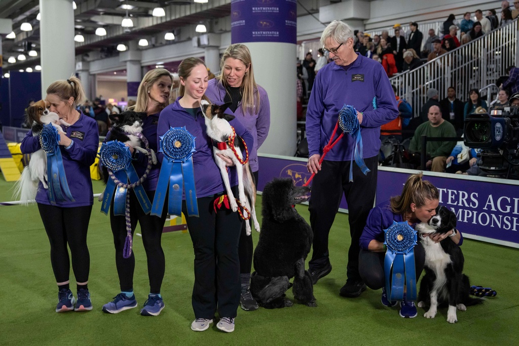Winners of the Masters Agility Championship Finals pose for a picture at the 150th Westminster Kennel Club Dog show, Saturday, Jan. 31, 2026, at the in New York. (AP Photo/Yuki Iwamura)