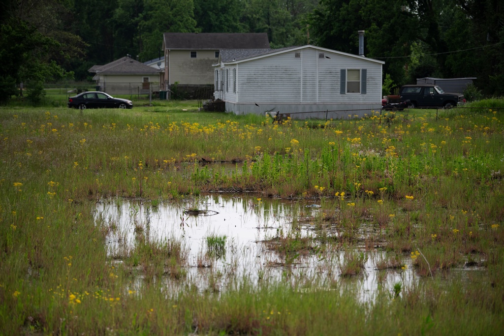 Standing water attracts mosquitoes near homes in Cahokia Heights, Ill., May 15, 2025. (AP Photo/Michael Phillis)