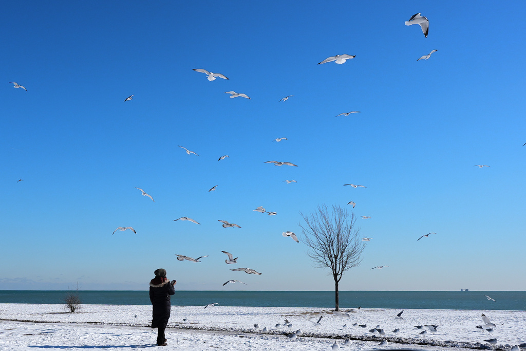 A person stands on a snow-covered ground along Lake Michigan as birds fly overhead at Montrose beach in Chicago, Wednesday, Jan. 28, 2026. (AP Photo/Nam Y. Huh)