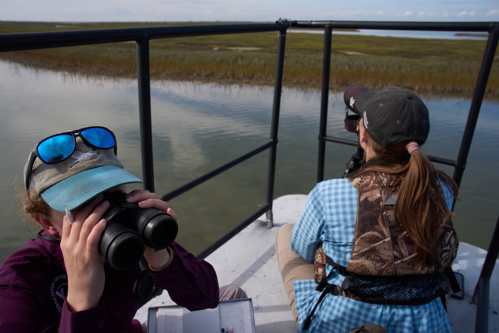 Katie Fernald, Wetland/Rangeland Ecologist, International Crane Foundation, left, and Matti Bradshaw, Leiden Whooping Crane Biologist, International Crane Foundation, study whooping cranes, Friday, Dec. 12, 2025, near Rockport, Texas. (AP Photo/John Locher)