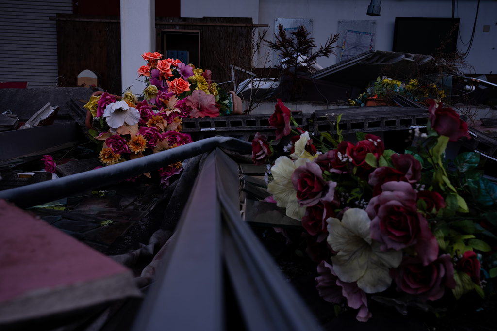 Artificial flowers lie among debris outside an abandoned pachinko parlor in Tomioka, Fukushima prefecture, Friday, Feb. 13, 2026. (AP Photo/Louise Delmotte)