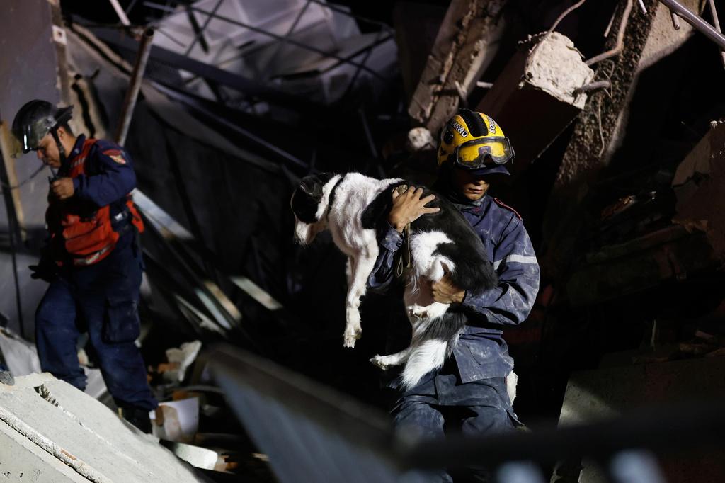 A firefighter rescues a dog from a building that collapsed after an earthquake in Caracas, Venezuela, Wednesday, June 24, 2026. (AP Photo/Pedro Mattey)