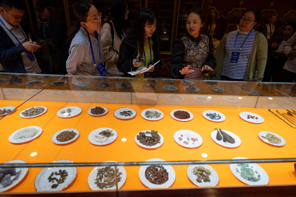 A worker introduces the herbs used in traditional Tibetan medicine produced by the Xizang Gansu Tibetan Medicine Co. Ltd in Lhasa, in western China's Tibet Autonomous Region on Wednesday, July 22, 2026 as seen during a government organized visit for foreign journalists. (AP Photo/Ng Han Guan)