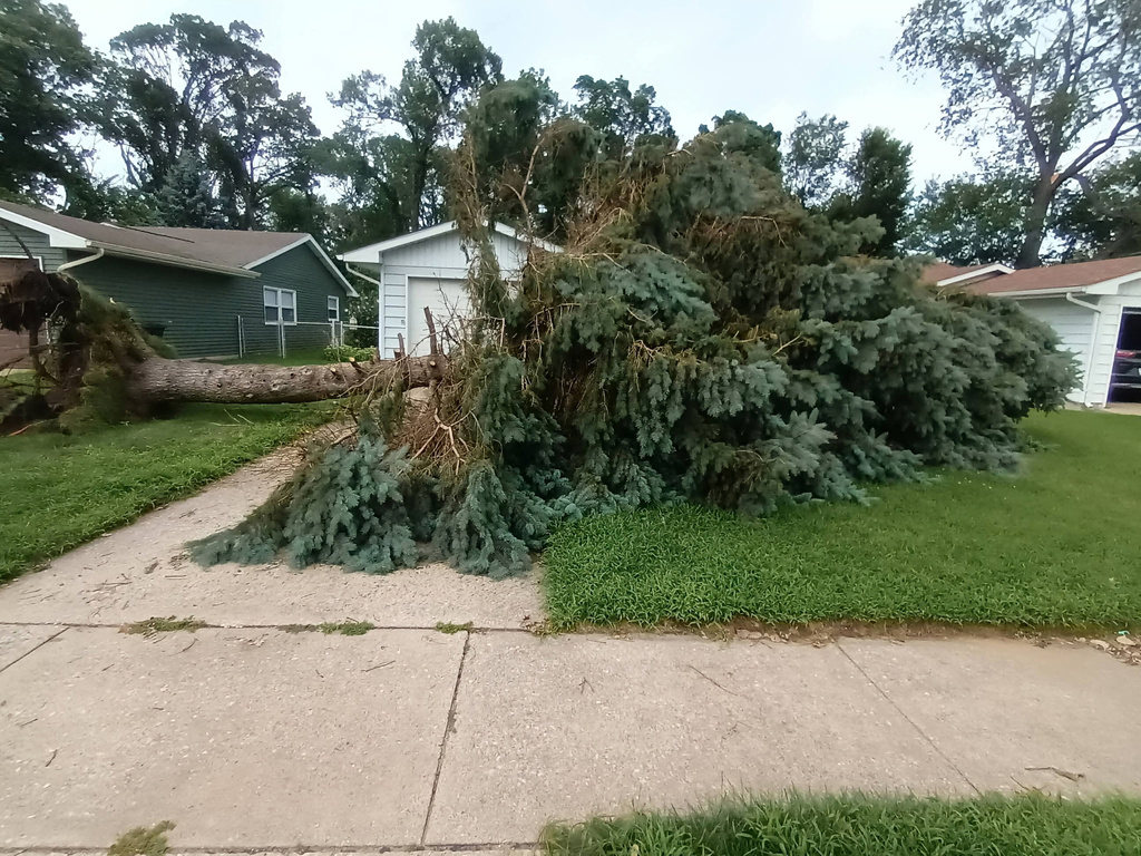 A downed tree in front of a house in Portage, Ind., on Tuesday, Aug. 18, 2026. (Jeremy Spurrier via AP)