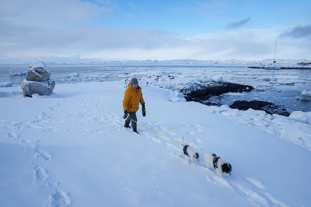 FILE - A woman walks with her dogs on a beach in Nuuk, Greenland, on March 4, 2025. (AP Photo/Evgeniy Maloletka, File)