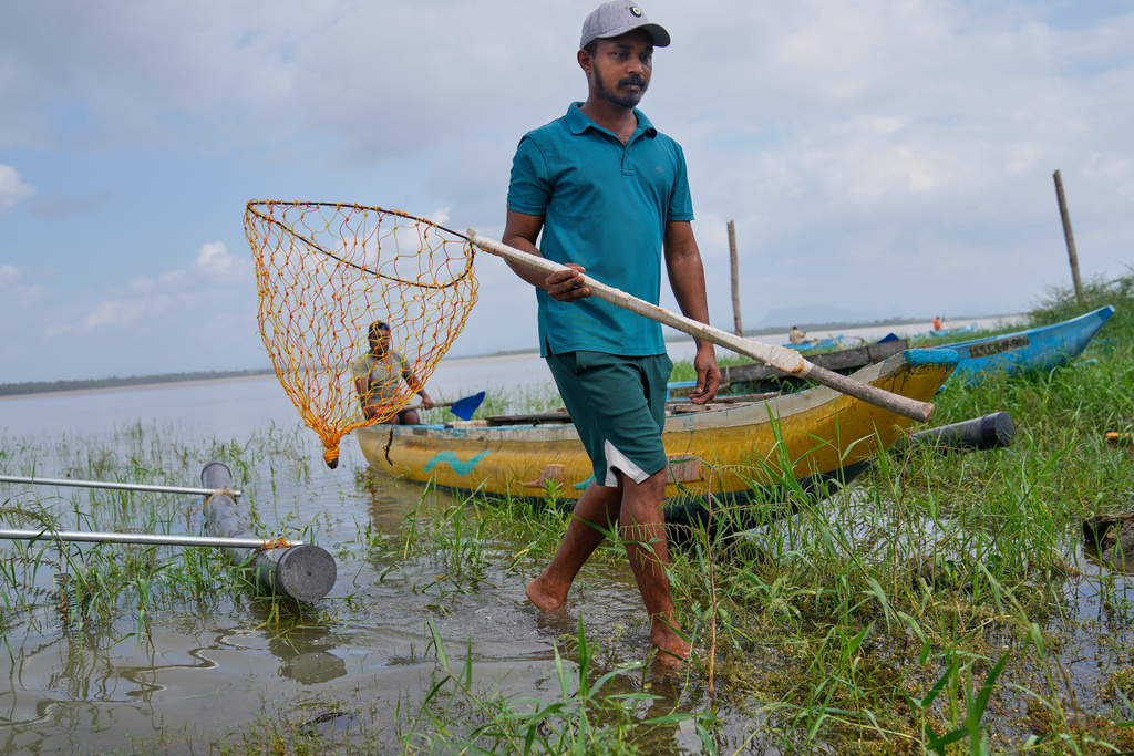 Ilshan Madhuthisara carries a hand net made to capture giant snakehead fish in Walpaluwa village, Deduru Oya, Sri Lanka, Wednesday, Oct, 29, 2025. (AP Photo/Eranga Jayawardena)
