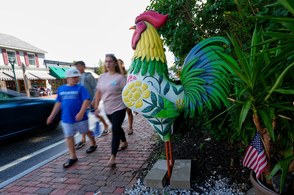 A large tin rooster stands alongside Main Street as a sign of solidarity for a young girl with autism in Ogunquit, Maine, Wednesday, July 22, 2026. (AP Photo/Robert F. Bukaty)