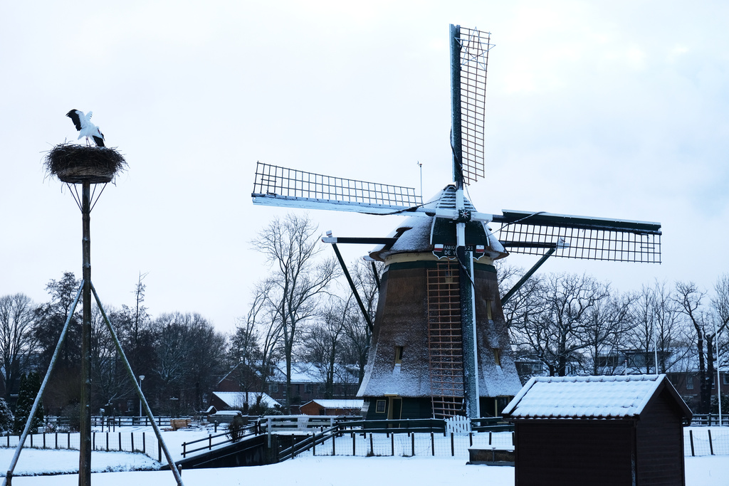 Windmill De Vlieger stands in a snowy field in the town of Voorburg on the outskirts of The Hague, Netherlands, as snow and ice covers the country on Tuesday, Jan. 6, 2026. (AP Photo/Mike Corder)