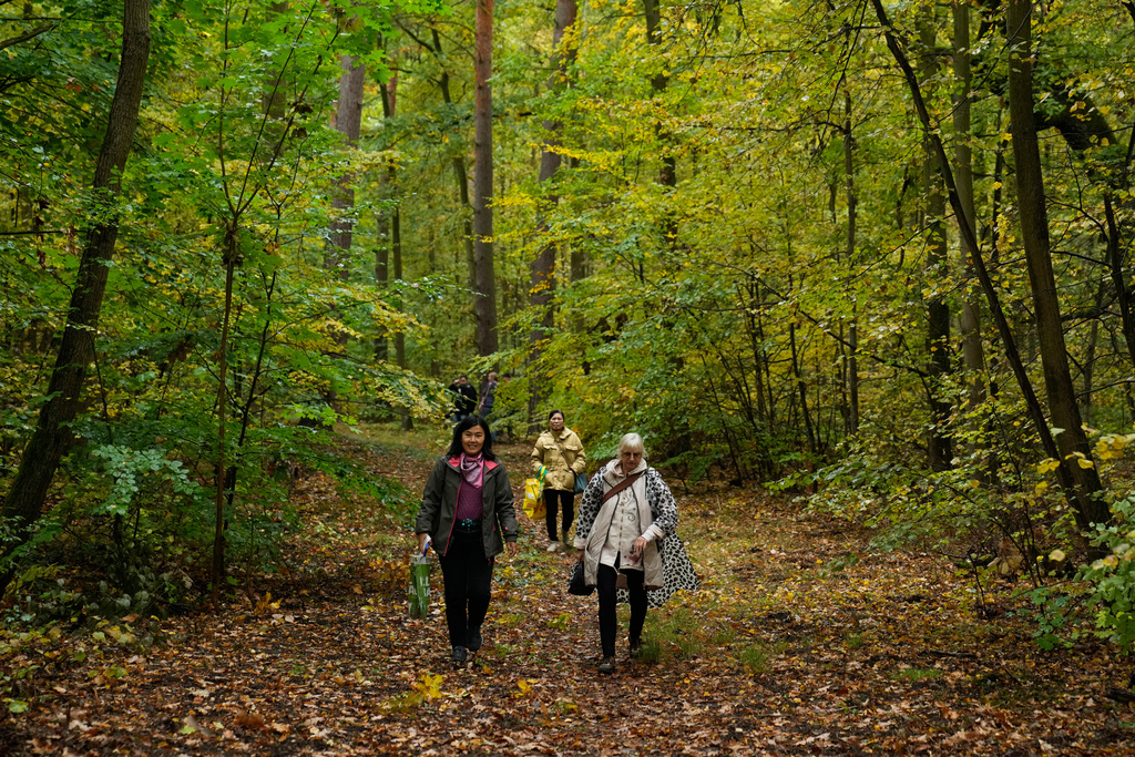 Mushroom hunters and pickers move through a forest looking for mushrooms in Potsdam, Germany, Wednesday, Oct. 8, 2025. (AP Photo/Ebrahim Noroozi)