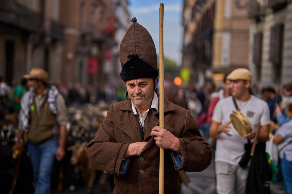 A sheepherder takes part as sheep are guided through central Madrid, Spain, as shepherds lead them through the streets in defense of ancient grazing and migration rights, Sunday, Oct. 19, 2025. (AP Photo/Manu Fernandez)