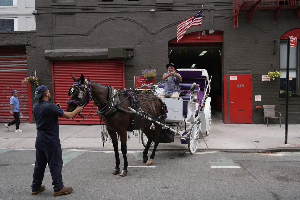 Driver Emre Akyuz, right, and stablehand Roen Galvez, second from left, lead Jersey out of the the Clinton Park Stables in New York, Monday, Aug. 18, 2025. (AP Photo/Seth Wenig)
