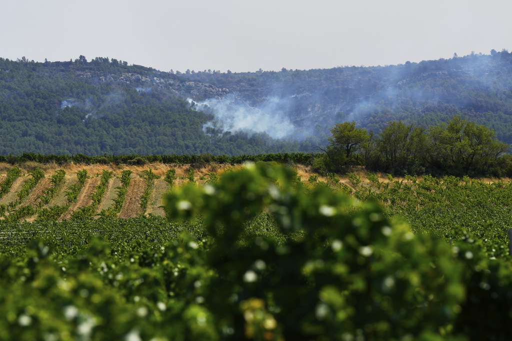 Smoke billows from a hill behind vineyards during France's largest wildfire in decades near Camplong-d' Aude, southern France, Thursday, Aug.7, 2025. (AP Photo/Manu Fernandez)
