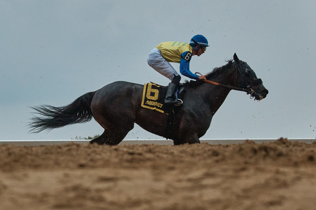Jockey Omar Hernandez Moreno races on horse Neuschwanstein at Aqueduct Racetrack on Saturday, June 27, 2026, in New York. (AP Photo/Andres Kudacki)
