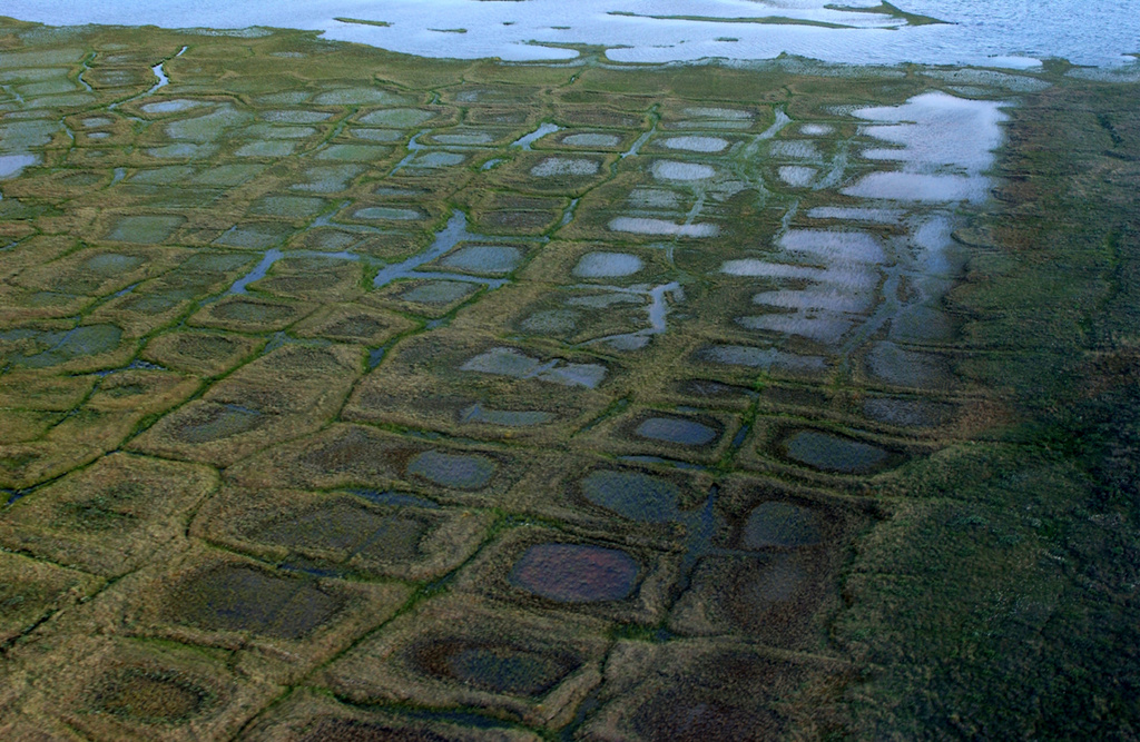 FILE - In this undated photo, provided by the United States Geological Survey, permafrost forms a grid-like pattern in the National Petroleum Reserve-Alaska, managed by the Bureau of Land Management on Alaska's North Slope. (David W. Houseknecht/United States Geological Survey via AP, File)