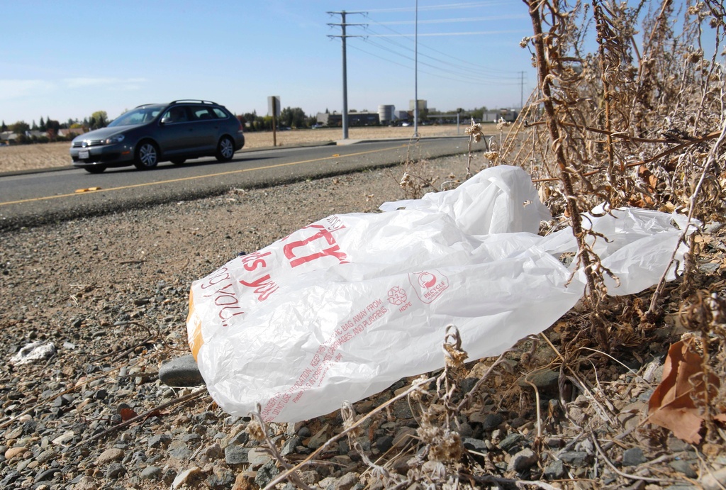 FILE - A plastic shopping bag liters the roadside in Sacramento, Calif, Friday, Oct. 25, 2013. (AP Photo/Rich Pedroncelli, file)