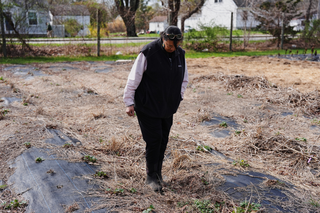 Dawn Spears checks on her garden beds Tuesday, April 21, 2026, at her farm in Hopkinton, R.I. (AP Photo/Joshua A. Bickel)