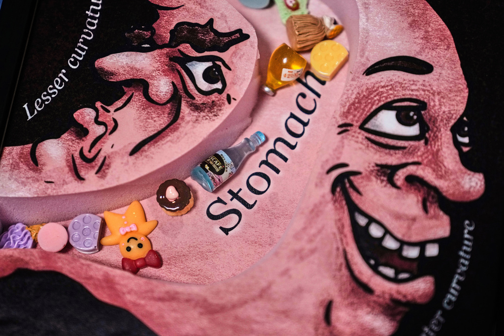 A detail of the 2025 Ig Nobel award, one of many that will be awarded by the Annals of Improbable Research magazine for silly sounding scientific discoveries that often have surprisingly practical applications, is displayed, Wednesday, Sept. 17, 2025, in Boston. (AP Photo/Charles Krupa)