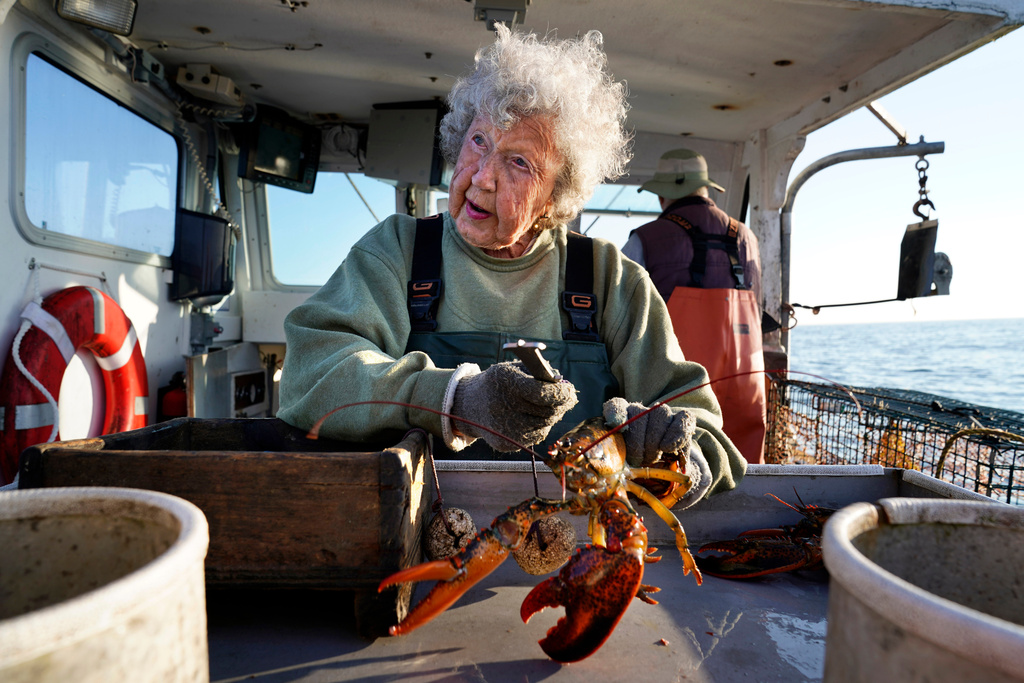 FILE - Virginia Oliver, 101, works as a sternman, measuring and banding lobsters on the boat of her son, Max Oliver, Aug. 31, 2021, off Rockland, Maine. (AP Photo/Robert F. Bukaty, File)