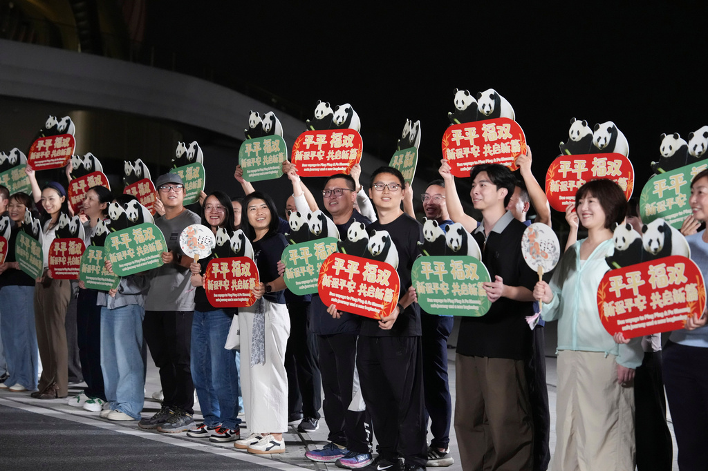 In this photo released by Xinhua News Agency, a farewell ceremony is held for giant pandas Ping Ping and Fu Shuang at Chengdu Research Base of Giant Panda Breeding in Chengdu, southwestern China's Sichuan Province, Saturday, Sept. 26, 2026. (Xu Bingjie/Xinhua via AP)