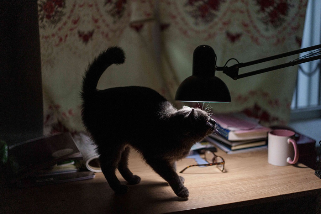A cat walks on a table at a hostel for displaced people in Dnipro, Ukraine, Wednesday, Oct. 8, 2025. (AP Photo/Evgeniy Maloletka)