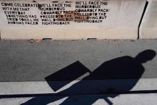 Jeanette Mancusi holds a American flag outside an ICE (U.S. Immigration and Customs Enforcement) processing facility in the Chicago suburb of Broadview, Ill., Monday, Oct. 20, 2025. (AP Photo/Nam Y. Huh) Jeanette Mancusi holds a American flag outside an ICE (U.S. Immigration and Customs Enforcement) processing facility in the Chicago suburb of Broadview, Ill., Monday, Oct. 20, 2025. (AP Photo/Nam Y. Huh)