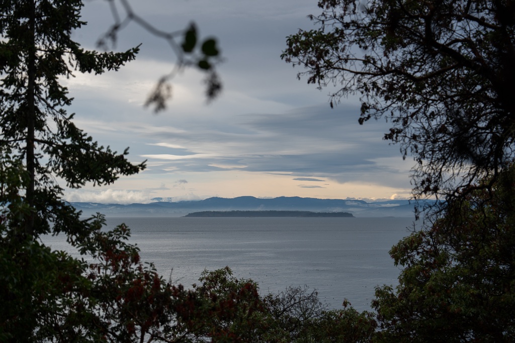 The Salish Sea, home to some 75 endangered Southern Resident orcas, is visible from San Juan Island, Wash., Friday, Oct. 10, 2025. (AP Photo/Annika Hammerschlag)