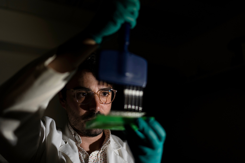Research fellow Colin Gliech poses for a portrait while preparing to test cells in a lab where he studies autoimmune diseases at Johns Hopkins University in Baltimore, Md., Tuesday, May 13, 2025. "I've always been really passionate about understanding how things work in biology. Immunotherapies have seen a lot of promise in the field of cancer and we've seen a lot of success specifically with treating blood cancers. But that's by no means the only application for these really kind of exciting and new technologies. So I really see autoimmune diseases as one of those new frontiers." (AP Photo/David Goldman)